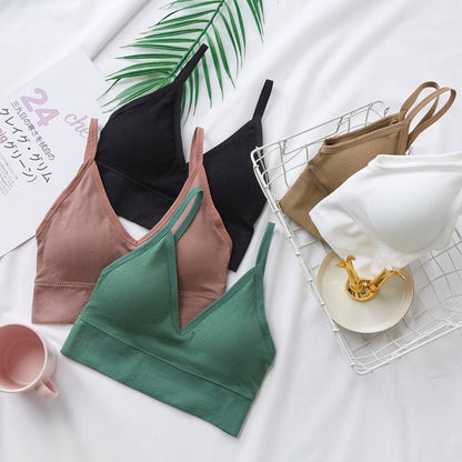 Tops cortos sexys para mujer, Top de tubo, ropa de calle femenina, camisola sin mangas, lencería deportiva sin costuras, camiseta, sujetador, Top corto, camiseta sin mangas