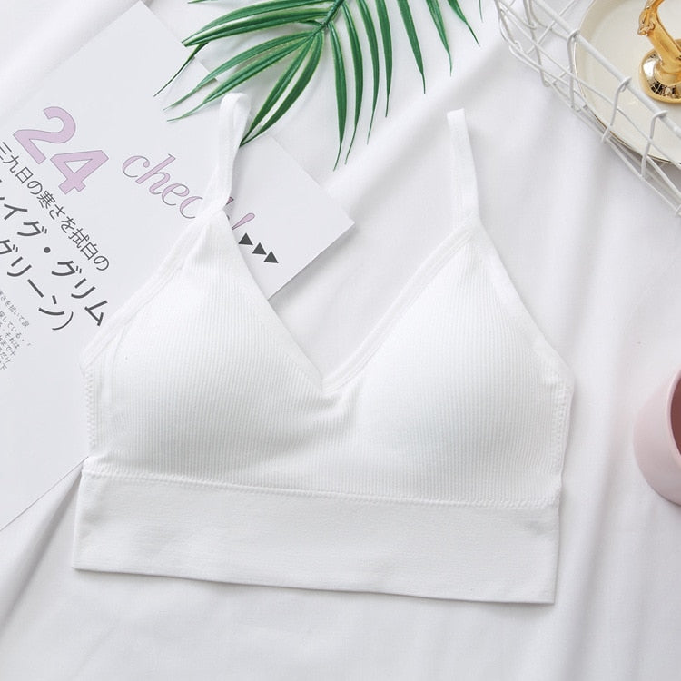 Tops cortos sexys para mujer, Top de tubo, ropa de calle femenina, camisola sin mangas, lencería deportiva sin costuras, camiseta, sujetador, Top corto, camiseta sin mangas